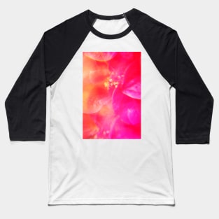 Pink camellia flowers 2 Baseball T-Shirt